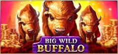 Buffalo